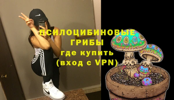 соль ск Нефтегорск