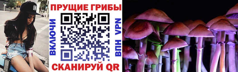 ОМГ ОМГ ссылка  Отрадный  Псилоцибиновые грибы Psilocybine cubensis 