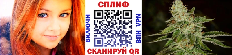 Конопля SATIVA & INDICA  mega ONION  Отрадный 